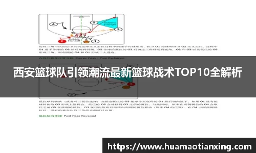 西安篮球队引领潮流最新篮球战术TOP10全解析